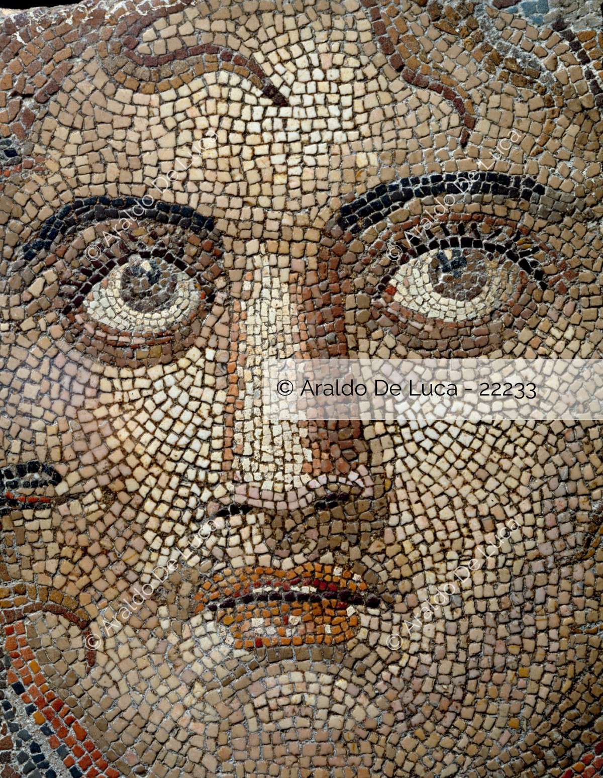 Arte Di Parete A Testina Di Medusa : Espressionismo Concettuale Di