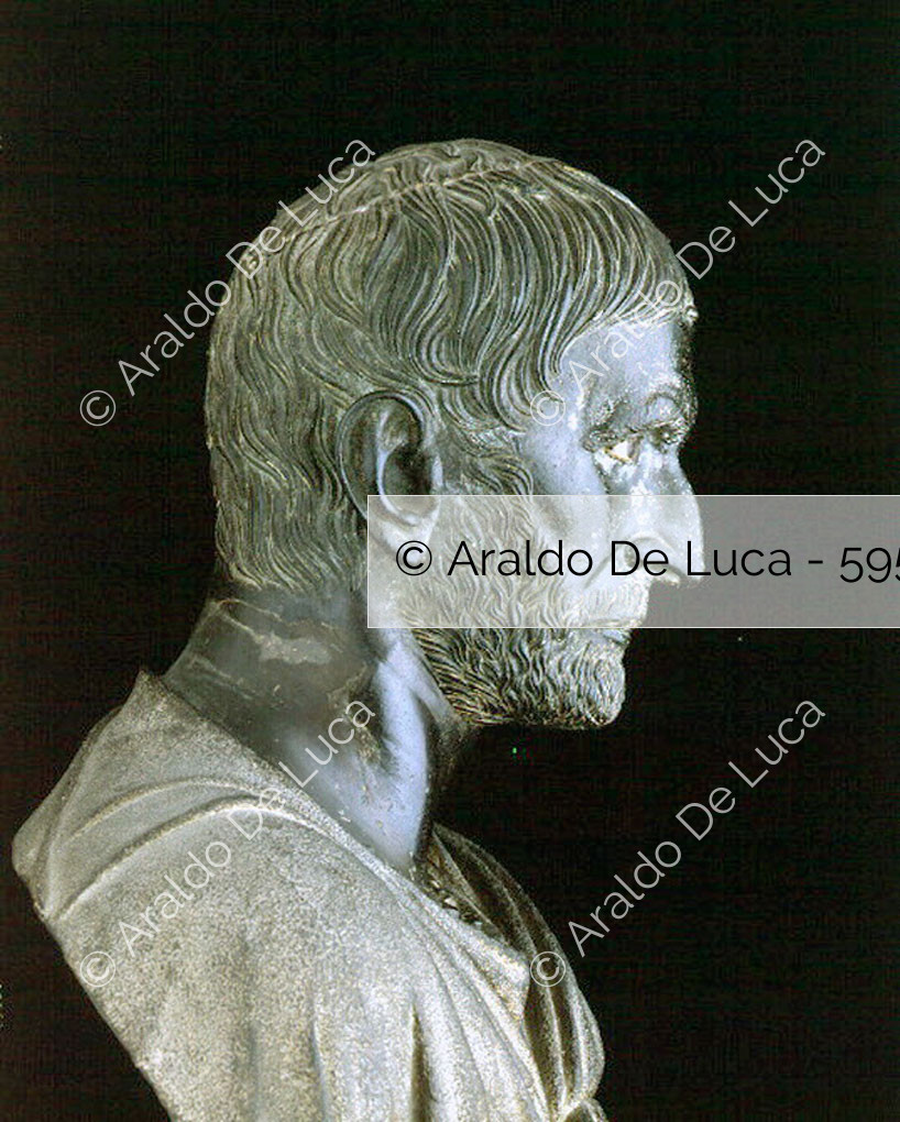 Bruto Capitolino 5954