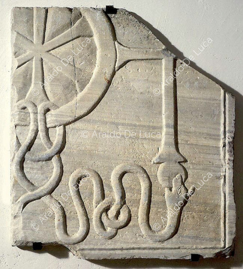Fragment of pluteus with snake