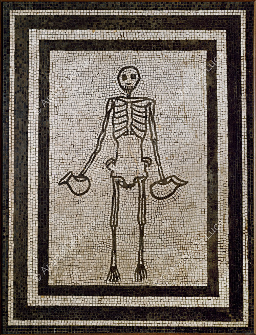 Squelette avec bocaux