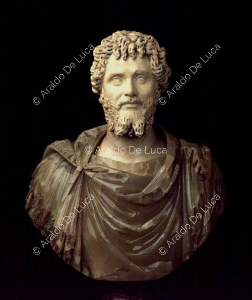Bust of Septimius Severus