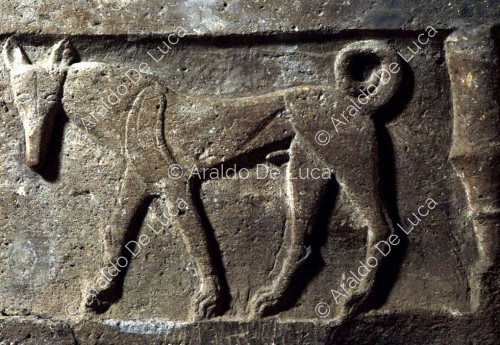 Relief with quadruped