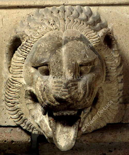 Lion's head gutter