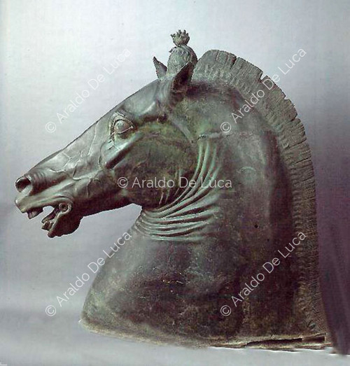 Cabeza de caballo colosal, colección Carafa