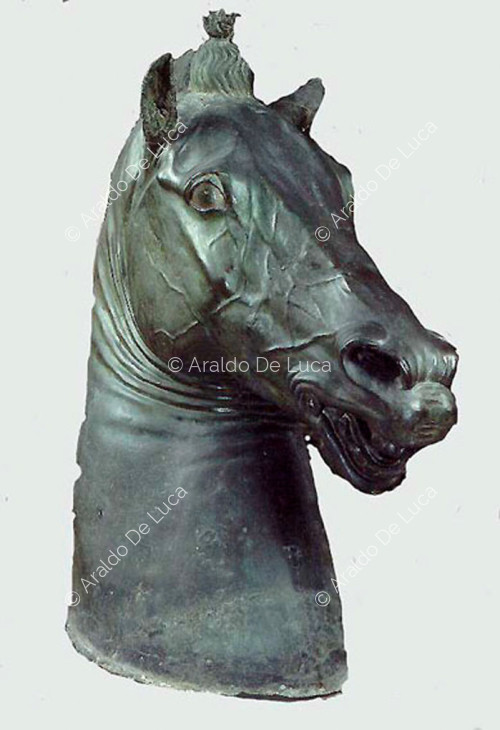 Cabeza de caballo colosal, colección Carafa