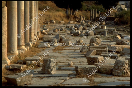 Paved road with columns