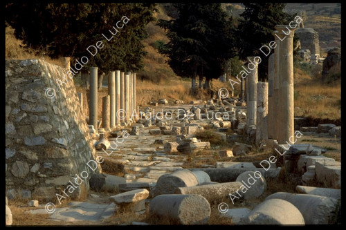 Paved road with columns