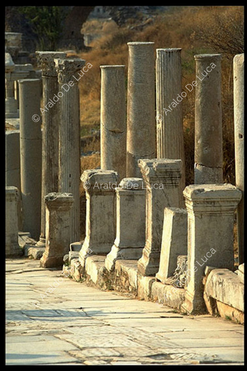Route pavée avec colonnes