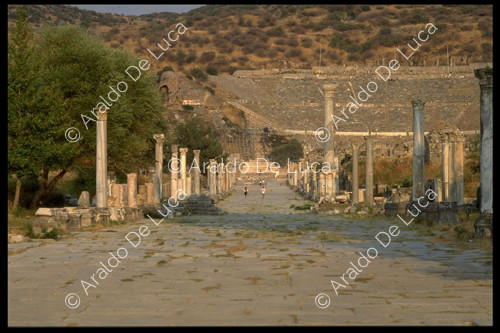 Area archeologica, Efeso. Turchia