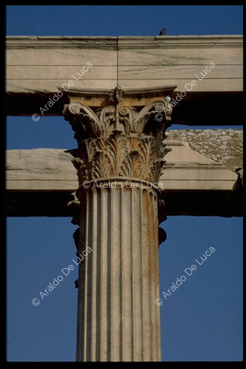 Détail de l'architrave et des colonnes
