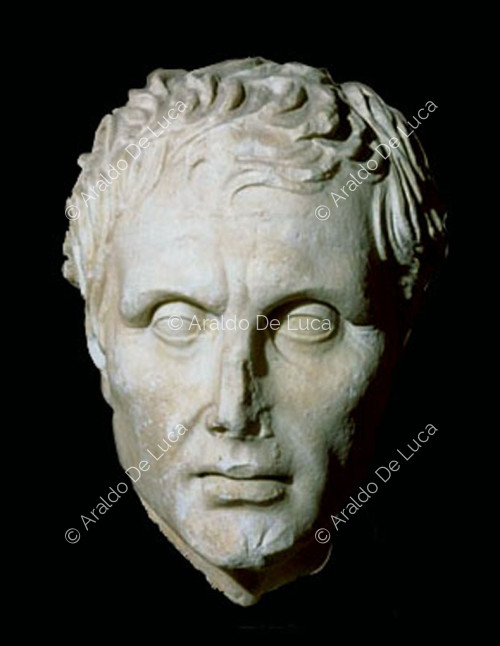 Testa ritratto maschile in marmo romano
