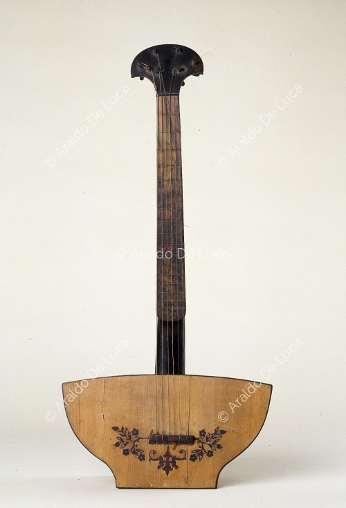 Lyre guitar
