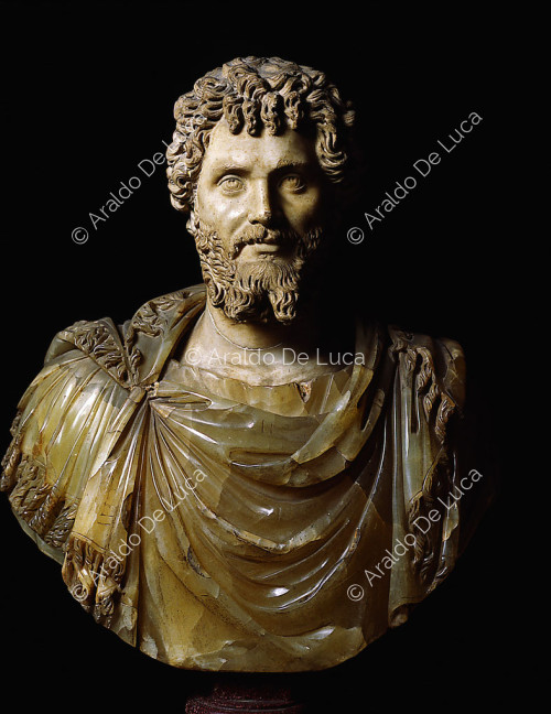 Bust of Septimius Severus