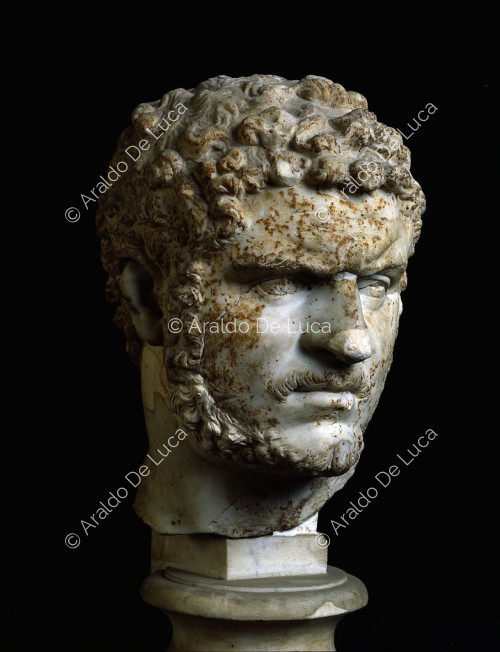 Kopf des Caracalla