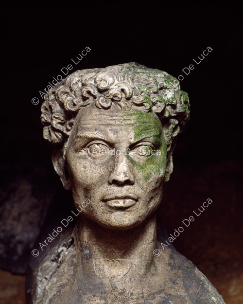 Statue of a man. Head detail