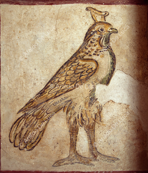 Tombe peinte de Tigrane : le faucon Horus