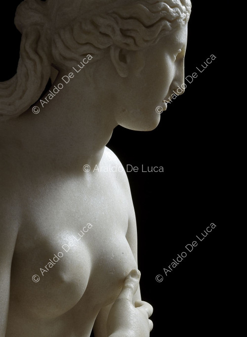 Kapitolinische Venus, Detail im Profil gesehen