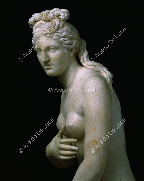 Venus Capitolina, detalle vista de perfil