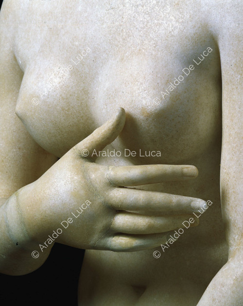 Capitoline Venus, detail seen from the front