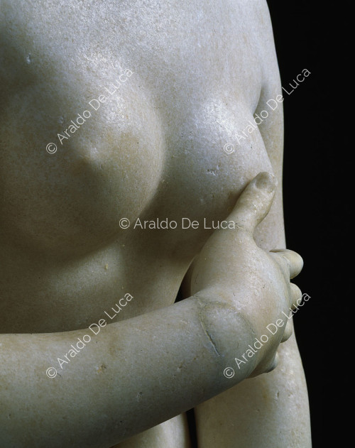 Die kapitolinische Venus, Detail von vorne gesehen