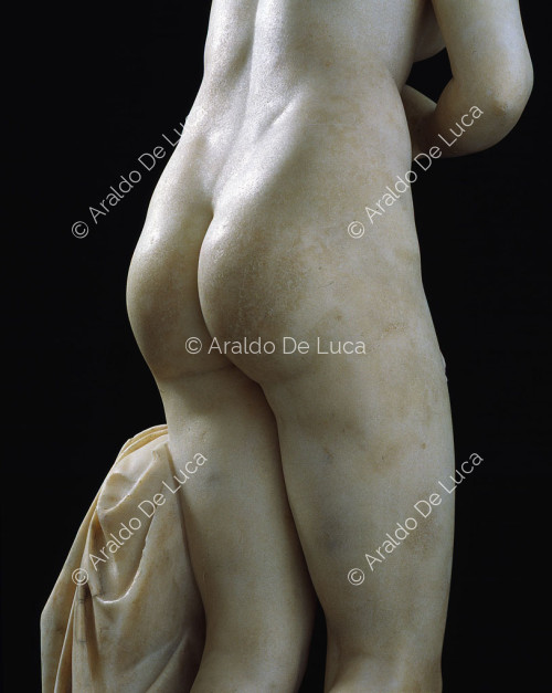 Kapitolinische Venus, Detail von hinten gesehen