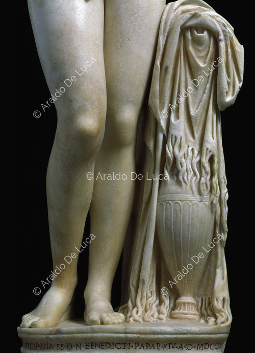 Vénus capitoline, détail des jambes