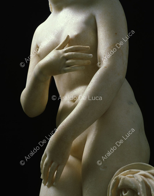 Kapitolinische Venus, Detail von unten gesehen