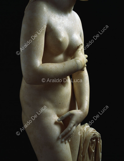 Venus Capitolina, detalle vista de frente