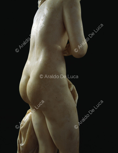 Capitoline Venus, detail seen from behind