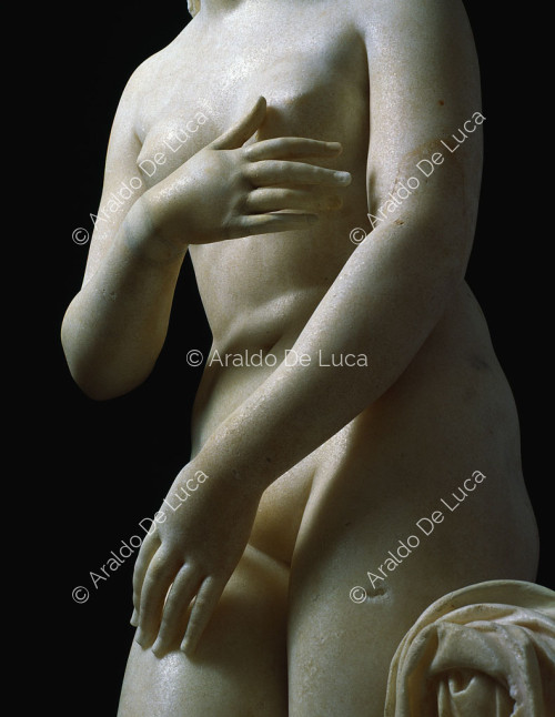 Capitoline Venus, detail seen from below