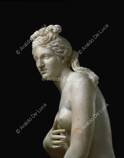 Capitoline Venus, detail seen in profile