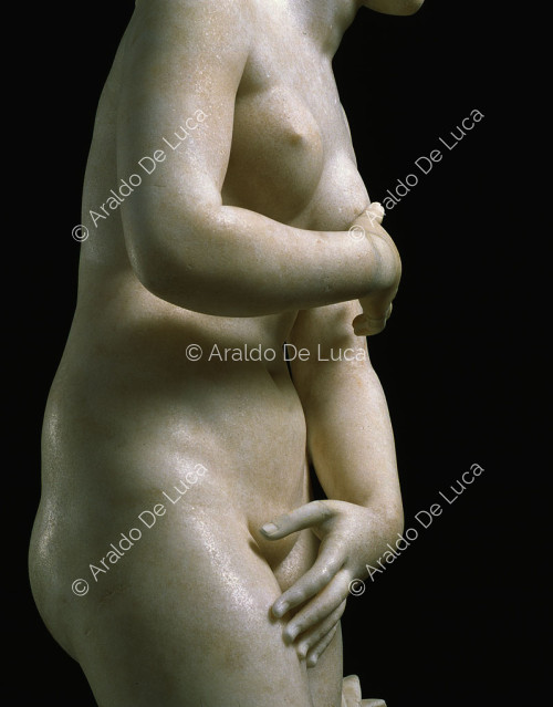 Capitoline Venus, detail seen in profile