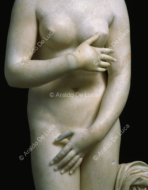 Die kapitolinische Venus, Detail von vorne gesehen