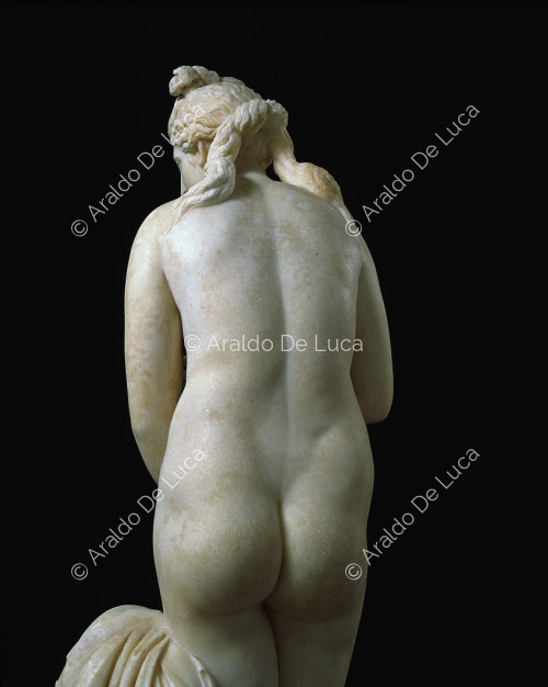 Venus Capitolina, detalle vista desde atrás