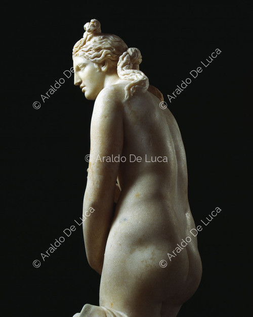 Kapitolinische Venus, Detail von hinten gesehen