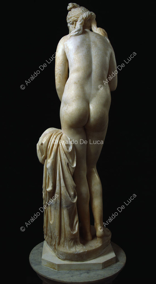 Venus Capitolina, vista desde atrás