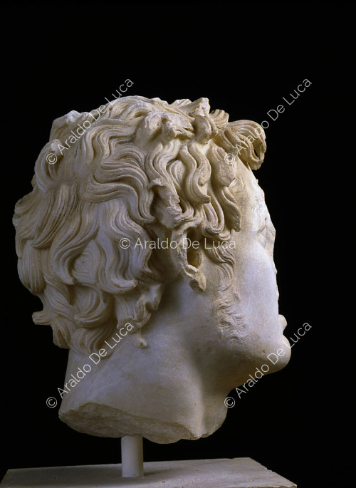 Gruppo del Palladio di Nikeratos, testa di Diomede