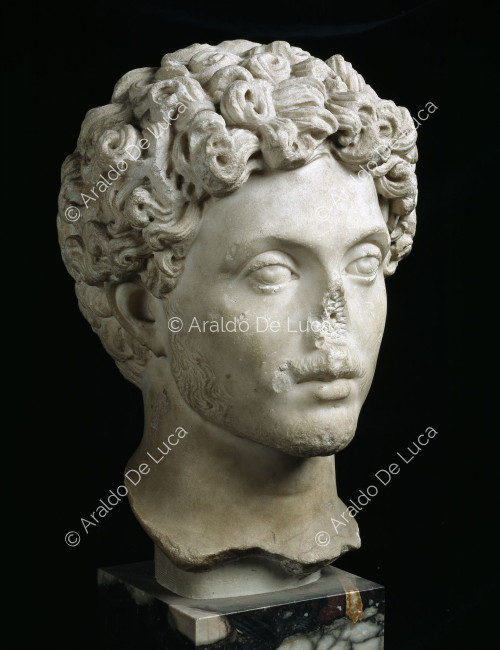 Cabeza de un joven Marco Aurelio