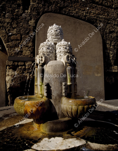 Piazza San Pietro: fontana delle Tiare
