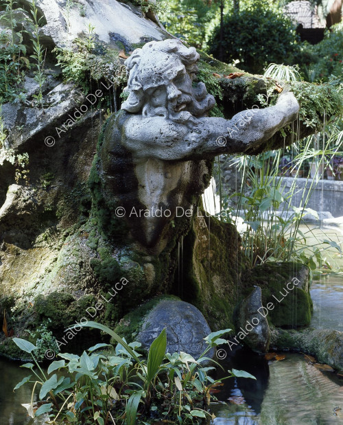 Fontaine du jardin St Mark, triton