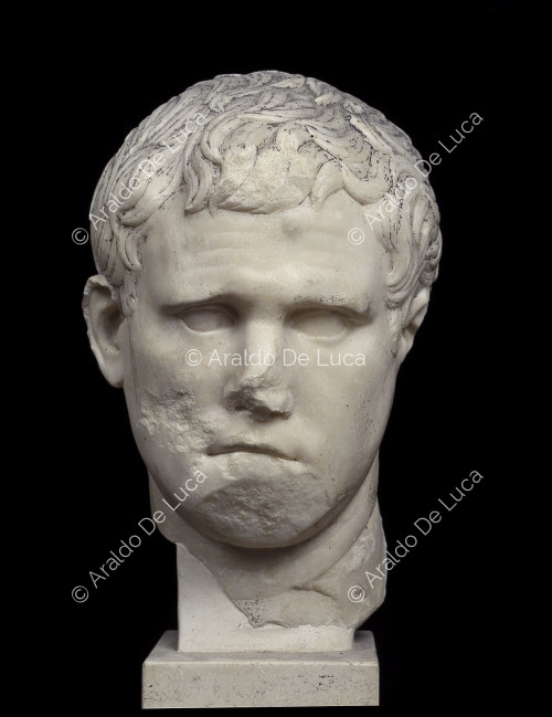 Tête d'Agrippa
