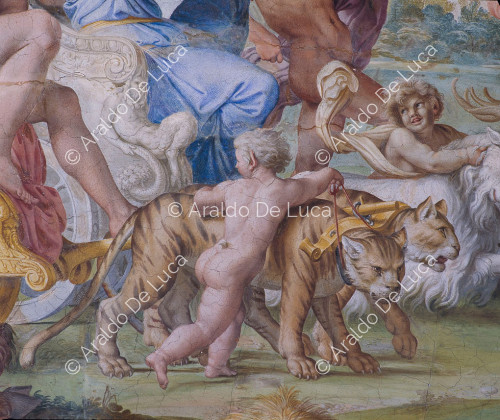 Galería de los Carracci. Fresco de la bóveda con el Triunfo de Baco. Detalle con niño y tigre
