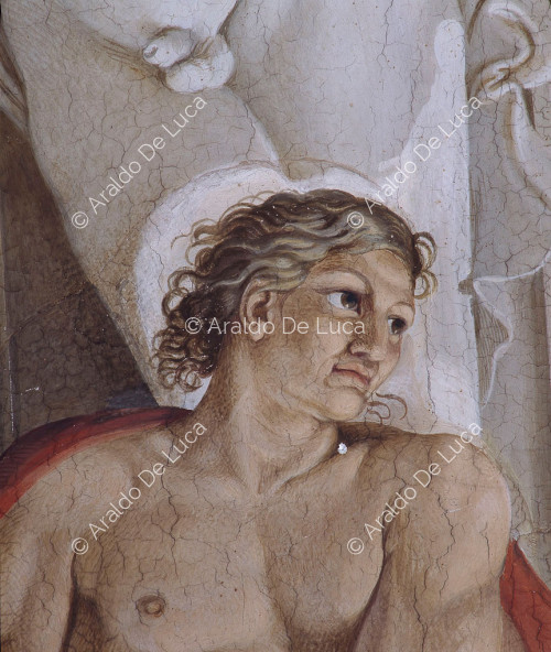 Galería de los Carracci. Fresco de la bóveda. Detalle con Ignudo