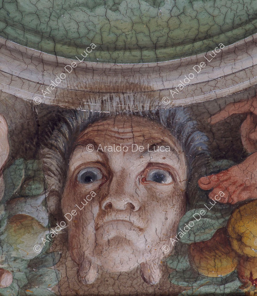 Galería de los Carracci. Fresco de la bóveda. Detalle