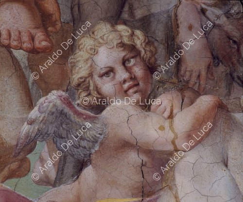 Galería de los Carracci. Fresco de la bóveda con el Triunfo de Baco. Detalle con Cupido