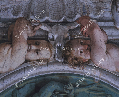 Galería de los Carracci. Fresco de la bóveda. Detalle con angelitos