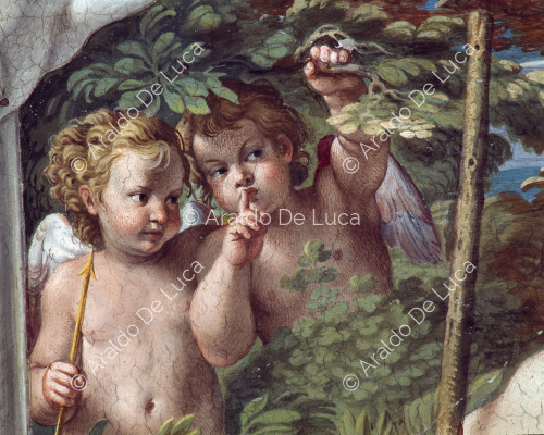 Galería de los Carracci. Fresco de la bóveda con Diana y Endimión. Detalle con Amorcillos