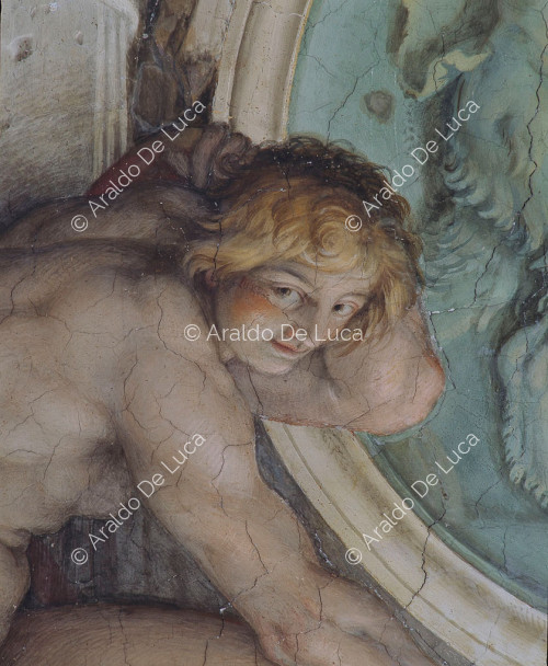 Galería de los Carracci. Fresco de la bóveda. Detalle con Ignudo