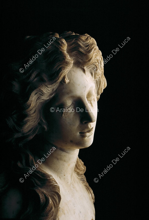 Bust of Lucretia