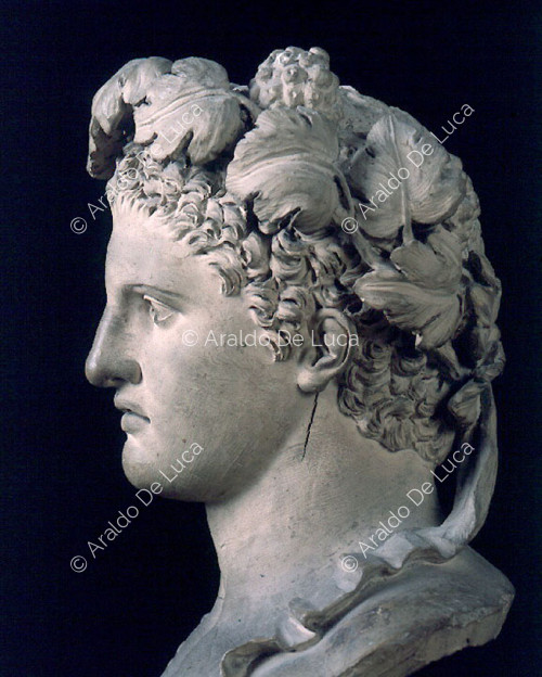 Bust of Bacchus